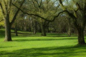 Utrechts Landschap koopt Park Soesterberg